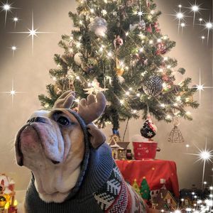 Meet your Posher, Krista